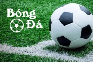 Bóng Trong Cuộc Và Bóng Ngoài Cuộc Hiểu Đúng Tránh Nhầm Lẫn