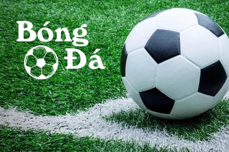 Bóng Trong Cuộc Và Bóng Ngoài Cuộc Hiểu Đúng Tránh Nhầm Lẫn