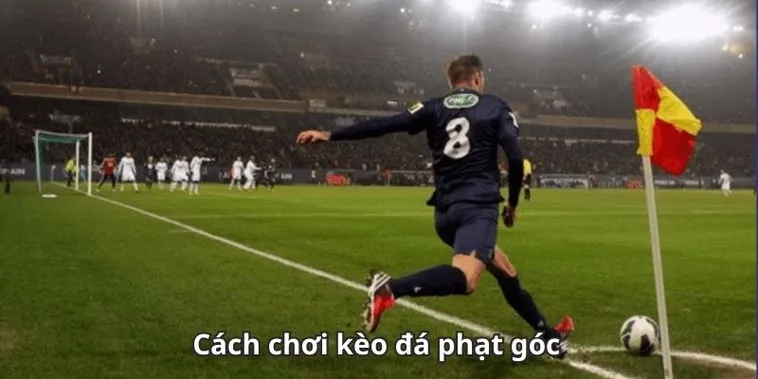 Mẹo Hay Cách Chơi Kèo Phạt Góc Bóng Đá Dễ Trúng