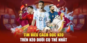 Cách Chơi Kèo Trên Kèo Dưới Chuẩn Xác Tăng Tỷ Lệ Thắng Dài Hạn