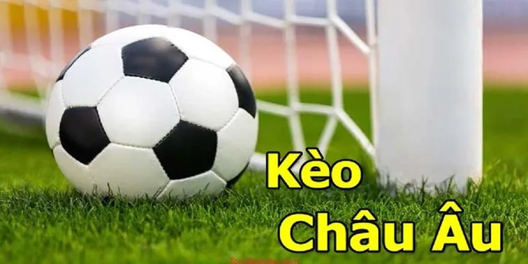 Hướng Dẫn Cách Chơi Kèo Châu Âu Hiệu Quả Cho Người Mới