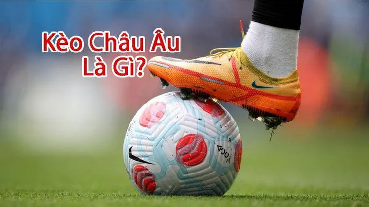 Hướng Dẫn Cách Chơi Kèo Châu Âu Hiệu Quả Cho Người Mới