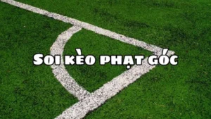 Mẹo Hay Cách Chơi Kèo Phạt Góc Bóng Đá Dễ Trúng