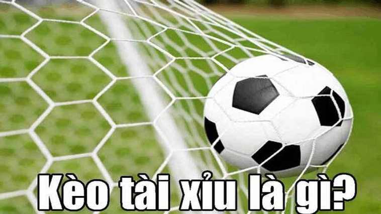 Bí Quyết Cách Chơi Kèo Tài Xỉu Bóng Đá Luôn Thắng